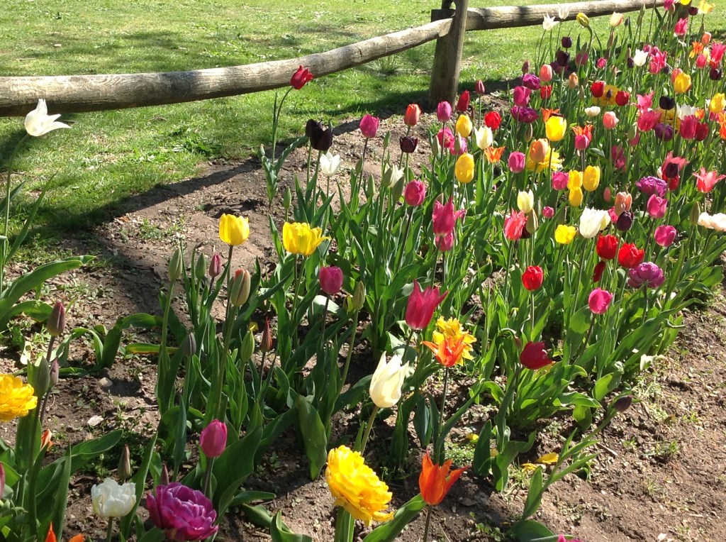 Photo May 05, 3 24 47 PM