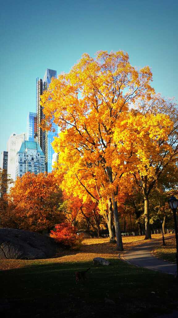 2013-11-02 08.30.58-2