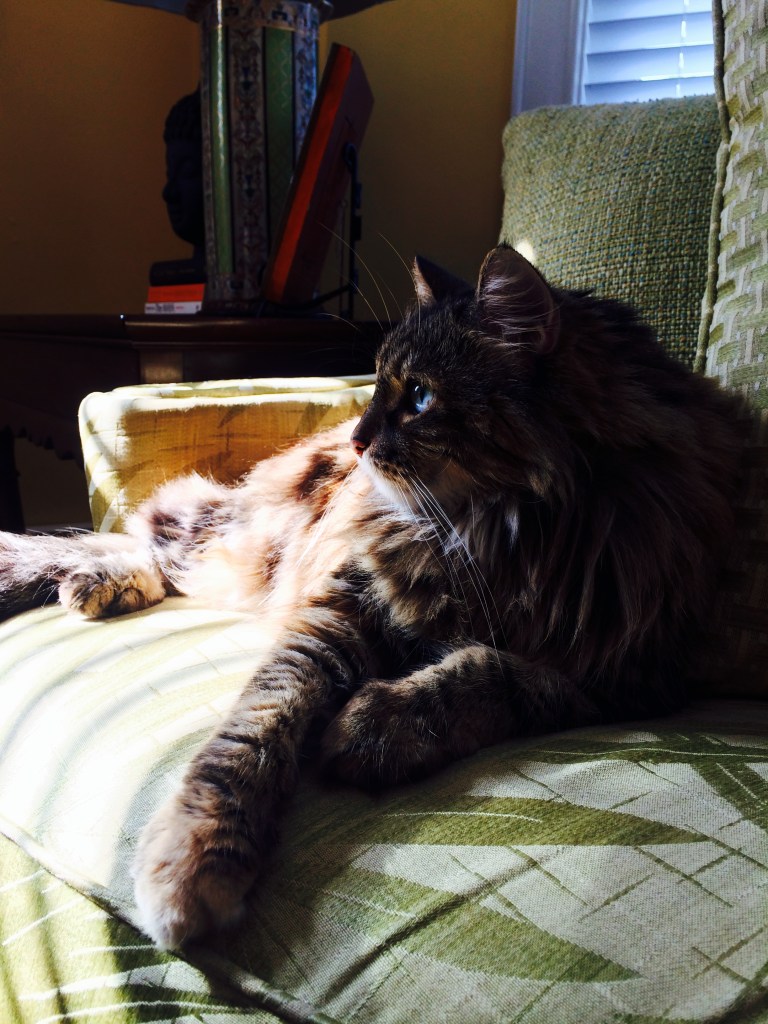 Photo Jul 08, 8 36 57 AM