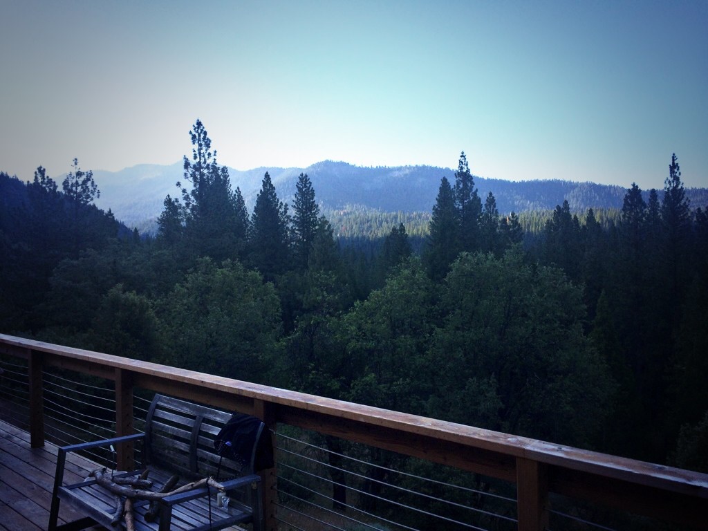 The view from my room